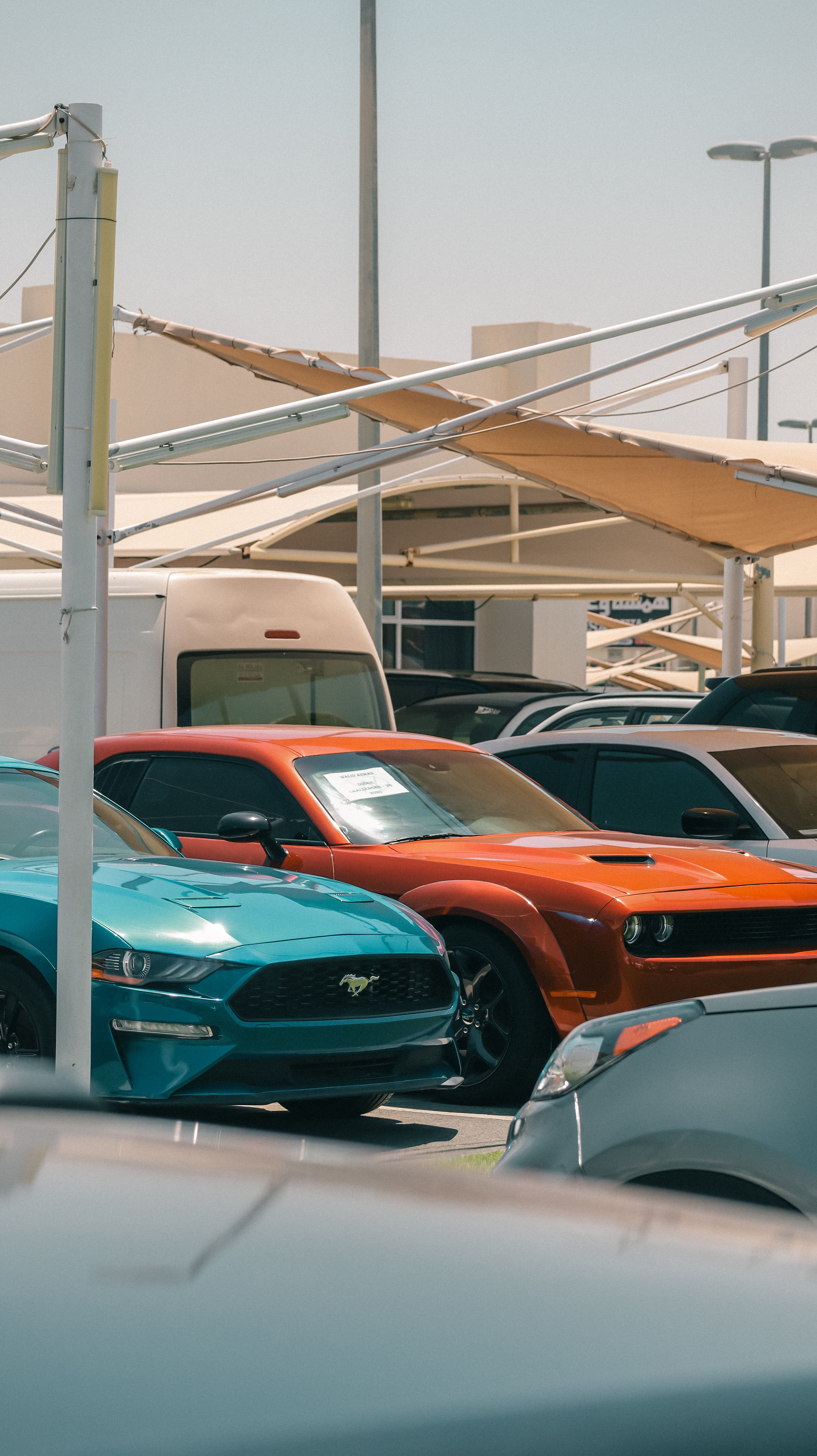 Vehicles at auto auction yard